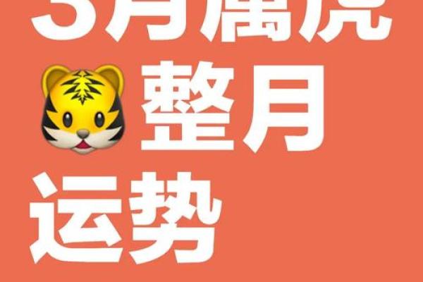 2013年属虎人事业财运健康感情综合运程预测