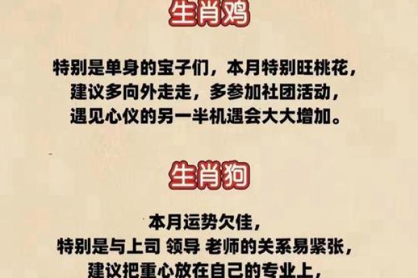 2024年哪些属相运势最好，如何把握机遇实现人生逆袭？