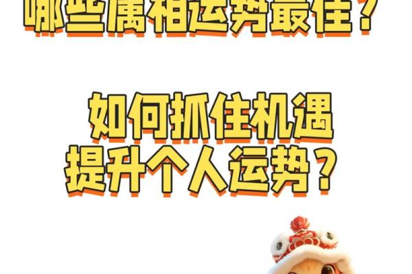 2024年哪些属相运势最好，如何把握机遇实现人生逆袭？