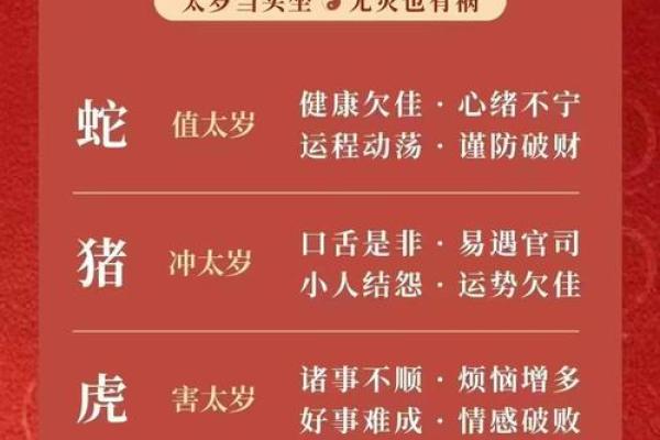 属蛇2025年是什么命