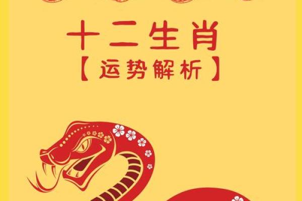 属蛇2025年是什么命