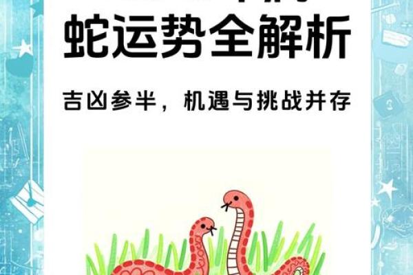 属蛇2025年幸运色是什么颜色 属蛇2025年幸运色是什么颜色