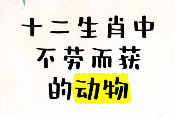 光恶不善在十二生肖中代表什么动物，它的命运如何？