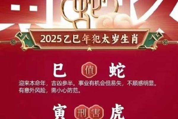 众矢之的指的是哪个生肖？具体含义解析