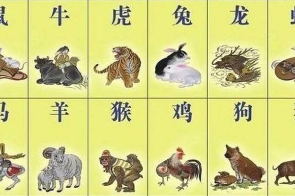 一落千丈的生肖寓意解析，看看你的属相是否在其中需要警惕