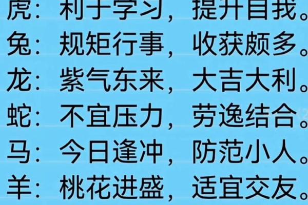 2022年四大幸运属相具体解析，看看有你吗？