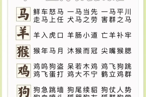 想要了解兔死狗烹的含义及其对应的生肖动物背后的历史典故