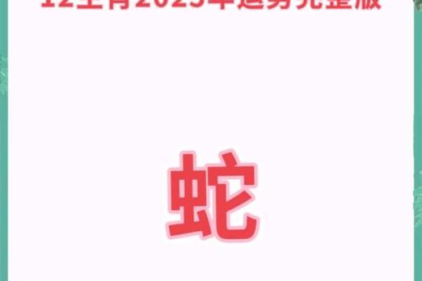 89年蛇2025年运势