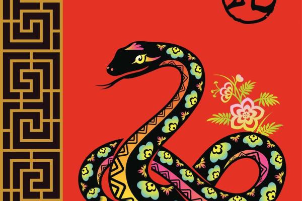 2025蛇五行属什么