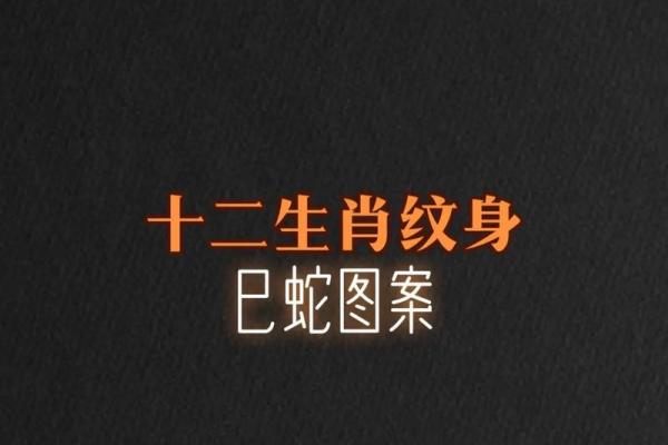 请问在十二生肖中哪个动物代表一身二任的含义及其文化背景解析