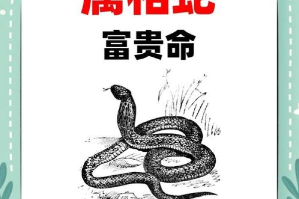 属蛇2025年运势
