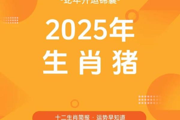 属猪的蛇年运势2025年运程