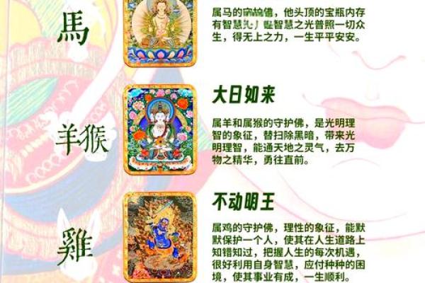 藏鼠卧蛇着个成语在十二生肖中具体指的是哪两个动物属相？