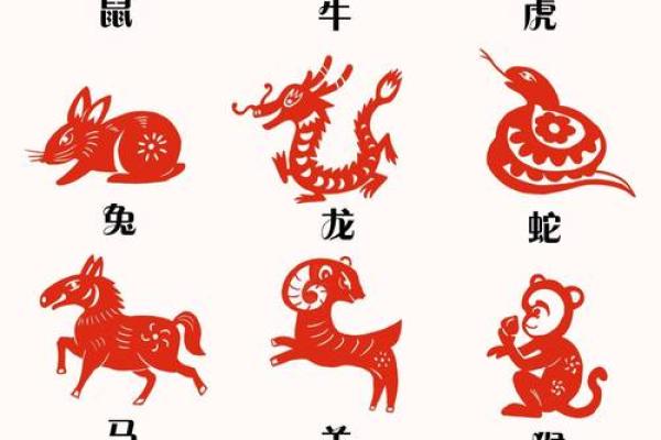 想了解曲高和寡所对应的生肖答案及其背后的文化寓意解析