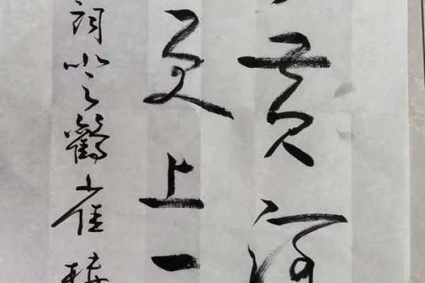 六月飞霜的生肖象征意义是什么？传统文化中的深层解读