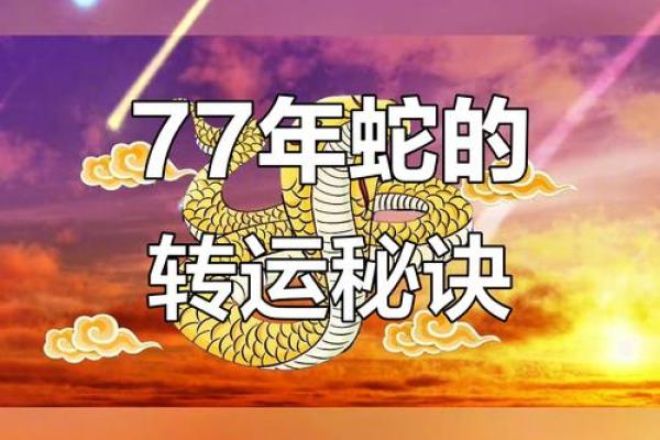 1977属蛇48岁以后运气如何