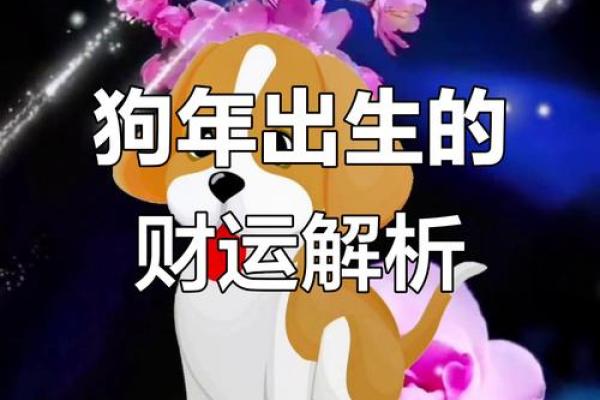 2013年属狗人全年运势详解及每月运程完整版 2013年属狗人全年运势详解及每月运程完整版