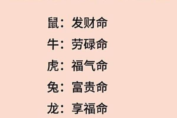 七老八十通常指的是哪个生肖，有什么具体的说法和讲究？