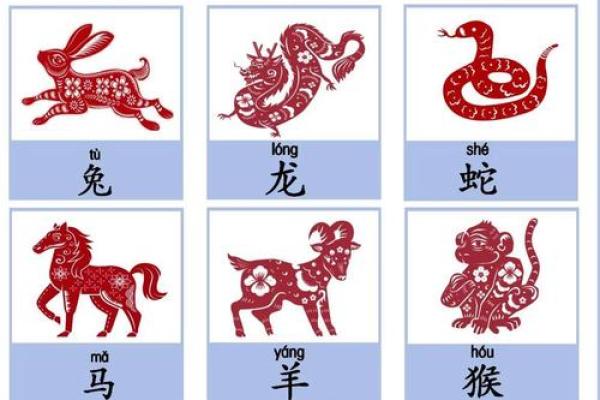 傻眉楞眼着个形容词通常指的是哪个生肖的性格或外貌特征？