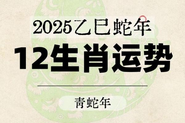 2025属蛇的运势怎么样
