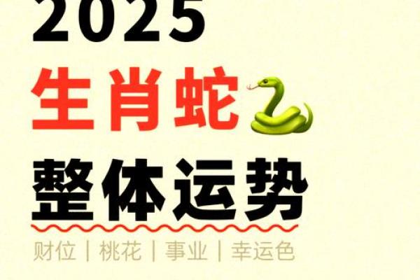 2025年属蛇的幸运色