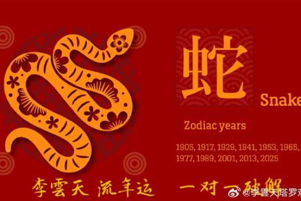 2025年属蛇人是什么命