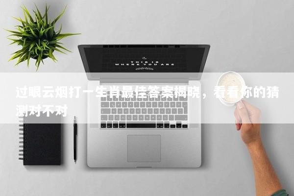 过眼云烟打一生肖最佳答案揭晓，看看你的猜测对不对