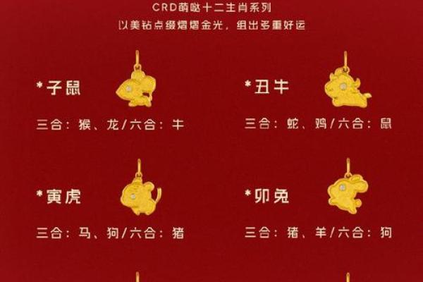从生肖配对角度解析，什么样的组合才称得上金童玉女？