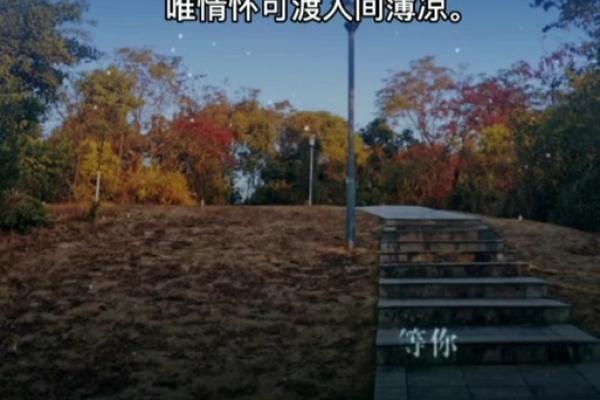 芬芳人间代表什么生肖？具体含义和象征意义解析