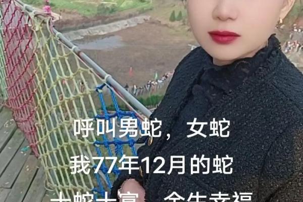 77年蛇2025年穿什么颜色
