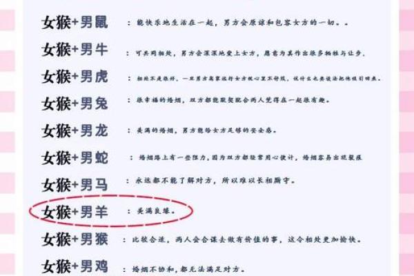 属鼠的人婚姻配对应该注意哪些生肖属相？