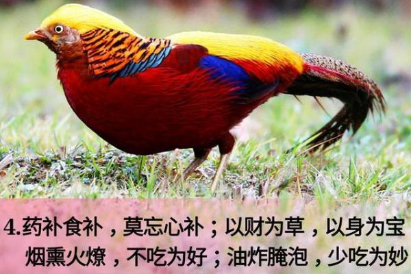 烟熏火燎打一生肖正确答案解析，最符合的动物是哪个