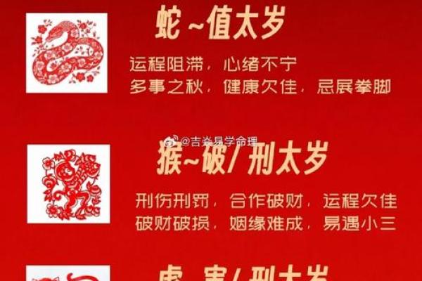 本命年属牛的人应该避免做哪些事情来化解太岁带来的不利影响？