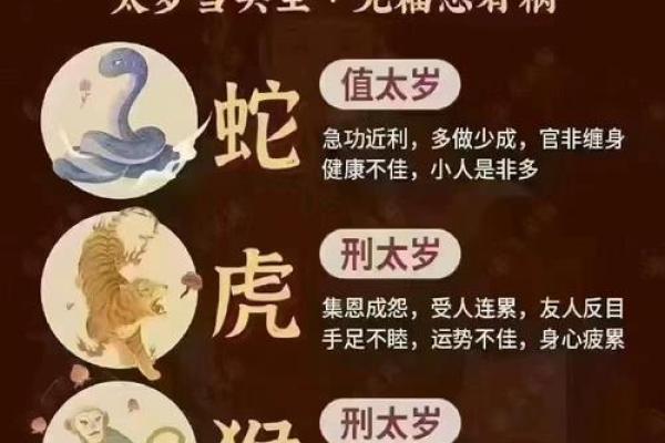 属兔、鼠、龙、鸡、马在2023年如何化解太岁，需要注意什么？