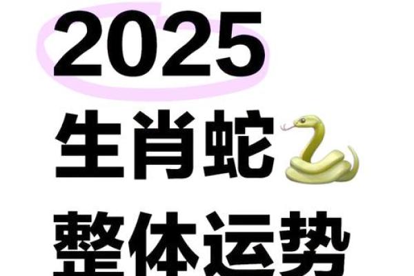 77年蛇2025年运势及运程
