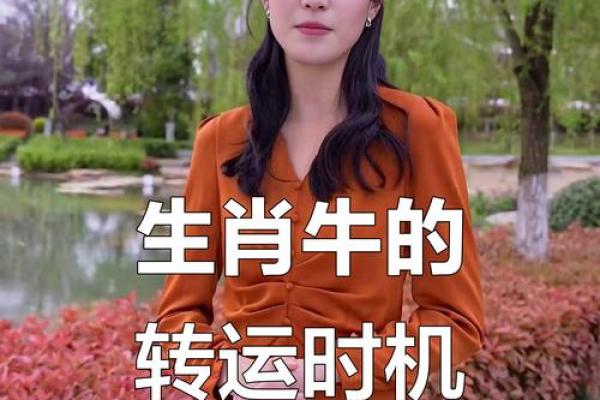 2022年属牛人的全年运势如何？财运健康运详解