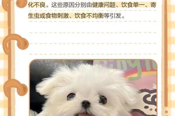 帮狗吃食着个说法具体指的是哪个生肖动物呢？