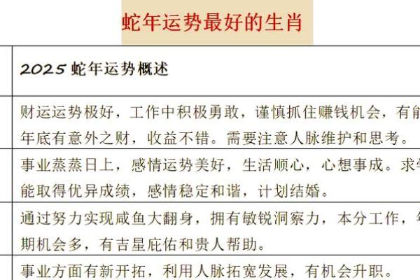 2025年属蛇人运程