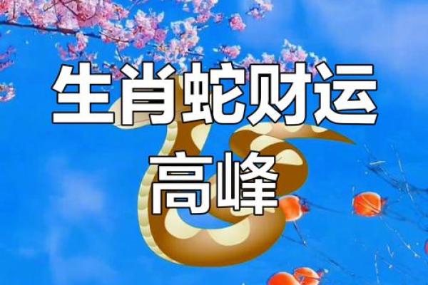 2001年属蛇的男孩今年的运气