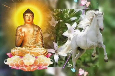 属马人43岁逢九转大运，1978年出生者该如何把握关键机遇？