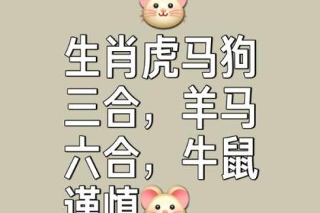 属马女的最佳婚配属相有哪些，属狗和属虎真的合适吗？