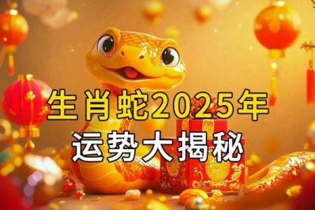 89年蛇2025年运势