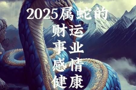 2025蛇五行属什么