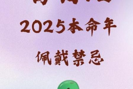 2025年属蛇人的全年