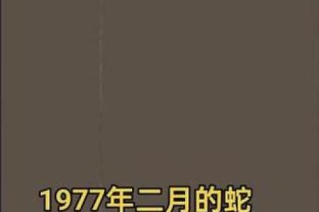 2013年蛇年本命年1977年出生人士运势与禁忌