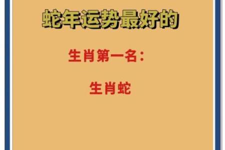 2025年属蛇考试能过吗