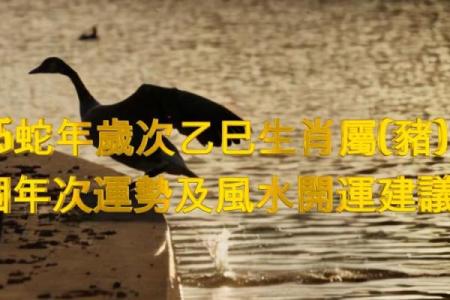 属猪2025蛇年运势
