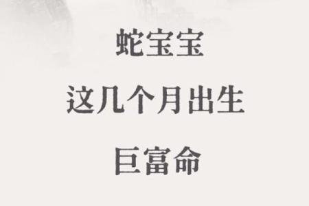 2025年是什么蛇什么命？