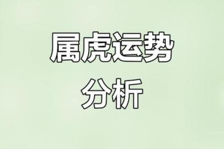 2013年属虎人全年运势详解，事业财运健康如何？