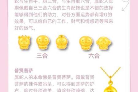 2025年的蛇属于什么命
